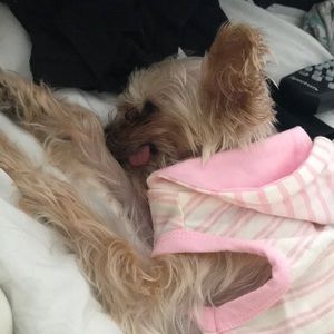 Meet your Posher, Hazel